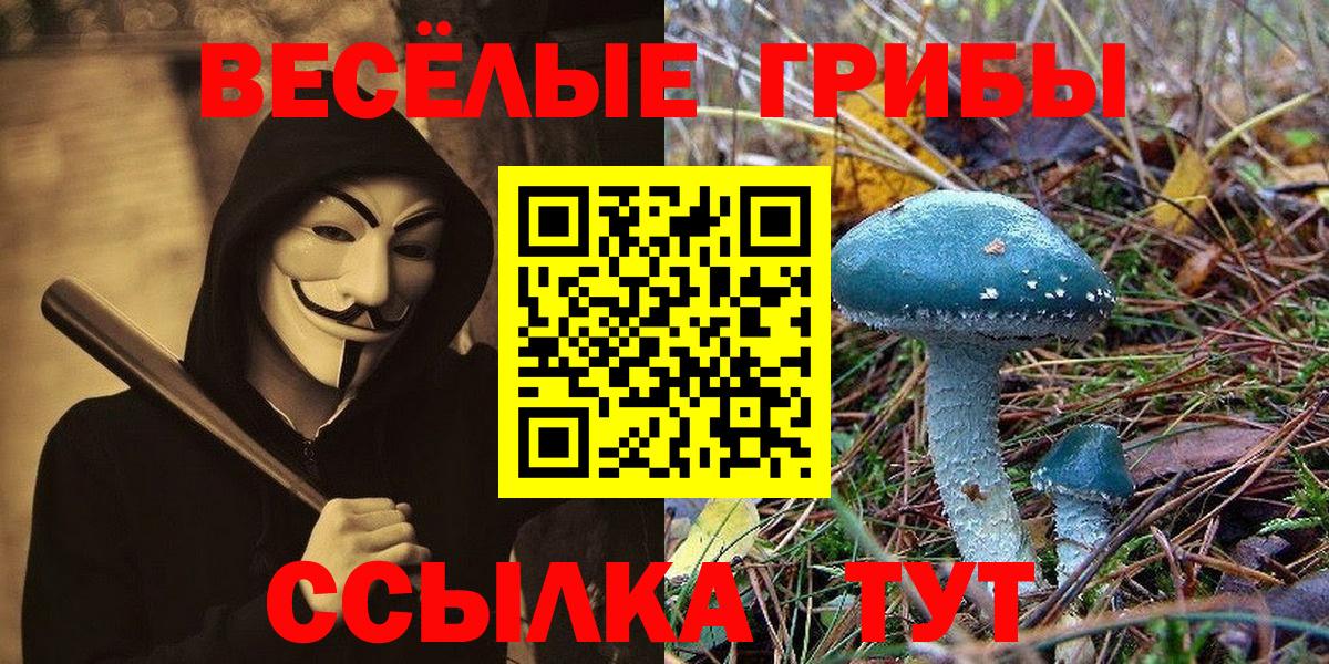 Псилоцибиновые грибы Magic Shrooms Мегион